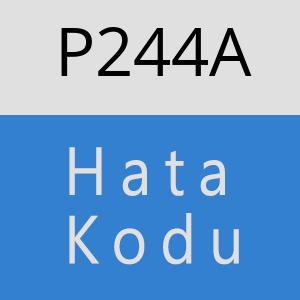 P244A hatasi