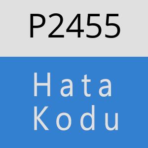 P2455 hatasi