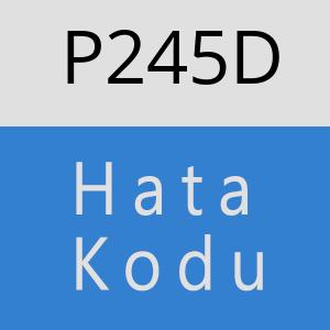 P245D hatasi