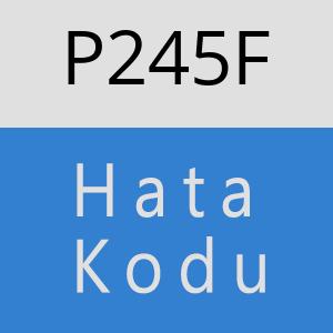 P245F hatasi