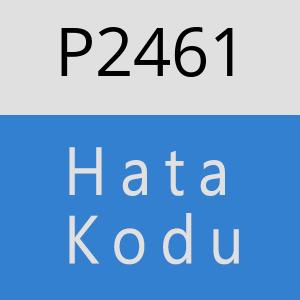 P2461 hatasi