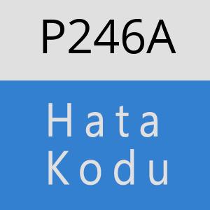 P246A hatasi