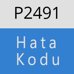 P2491 hatasi