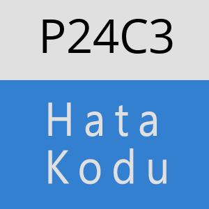 P24C3 hatasi