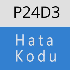 P24D3 hatasi