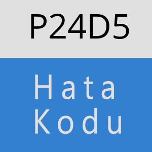 P24D5 hatasi