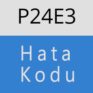 P24E3 hatasi