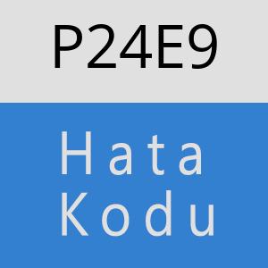 P24E9 hatasi