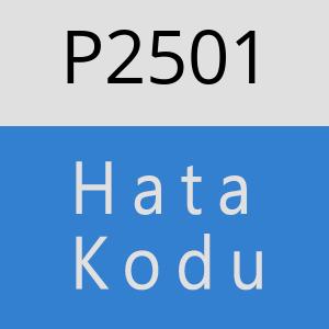 P2501 hatasi