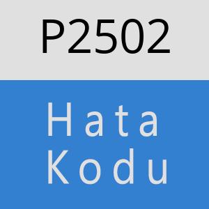 P2502 hatasi