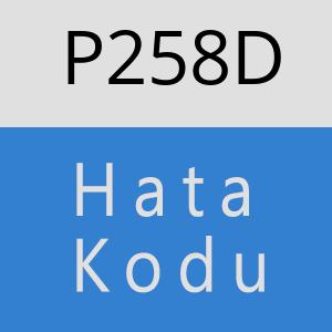 P258D hatasi