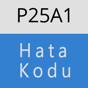 P25A1 hatasi