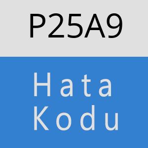 P25A9 hatasi