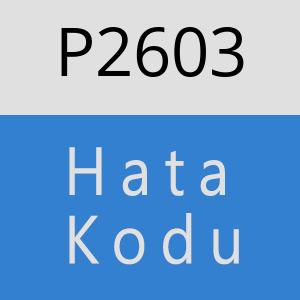 P2603 hatasi