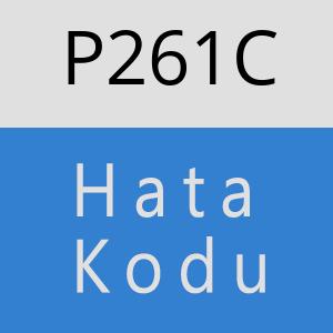 P261C hatasi