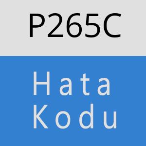 P265C hatasi