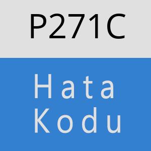 P271C hatasi