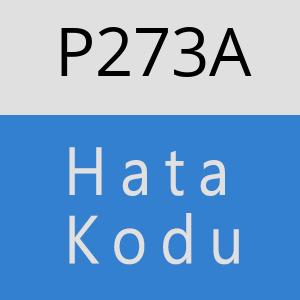 P273A hatasi