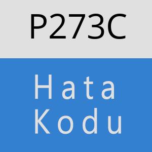 P273C hatasi