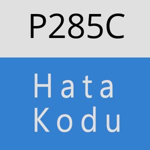 P285C hatasi