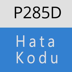 P285D hatasi