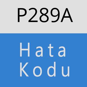 P289A hatasi