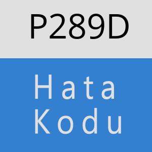 P289D hatasi