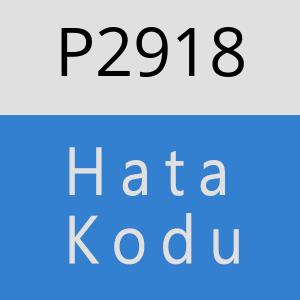 P2918 hatasi