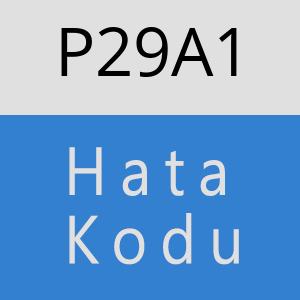 P29A1 hatasi