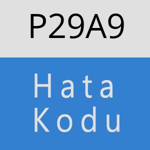 P29A9 hatasi