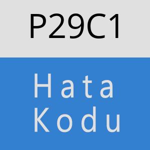 P29C1 hatasi