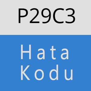 P29C3 hatasi