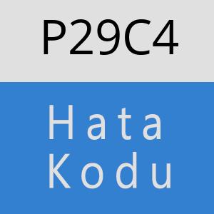 P29C4 hatasi