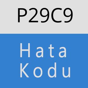 P29C9 hatasi