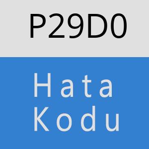 P29D0 hatasi