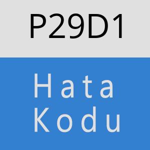 P29D1 hatasi