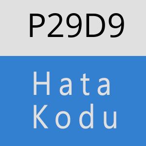 P29D9 hatasi