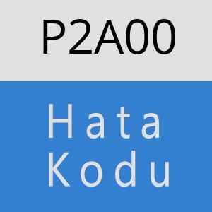 P2A00 hatasi