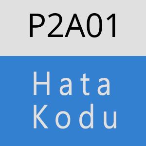 P2A01 hatasi