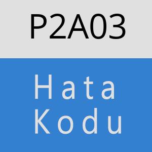 P2A03 hatasi