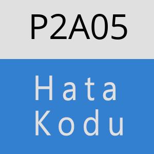 P2A05 hatasi