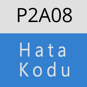 P2A08 hatasi