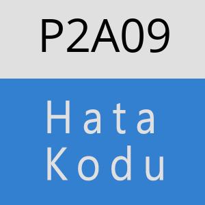 P2A09 hatasi