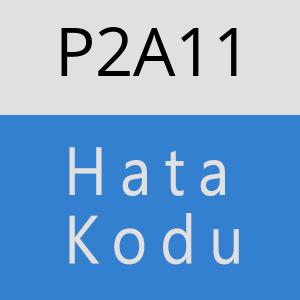 P2A11 hatasi