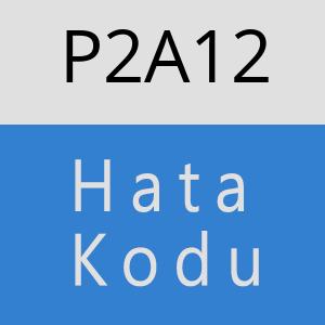 P2A12 hatasi