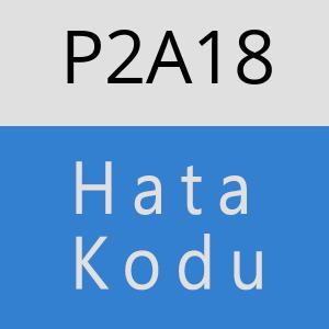 P2A18 hatasi