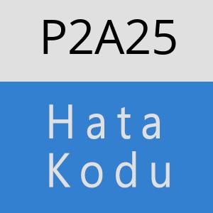 P2A25 hatasi