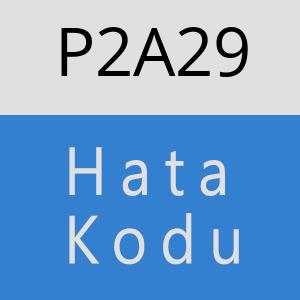 P2A29 hatasi