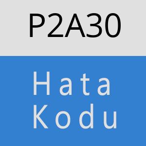 P2A30 hatasi