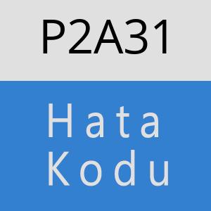 P2A31 hatasi